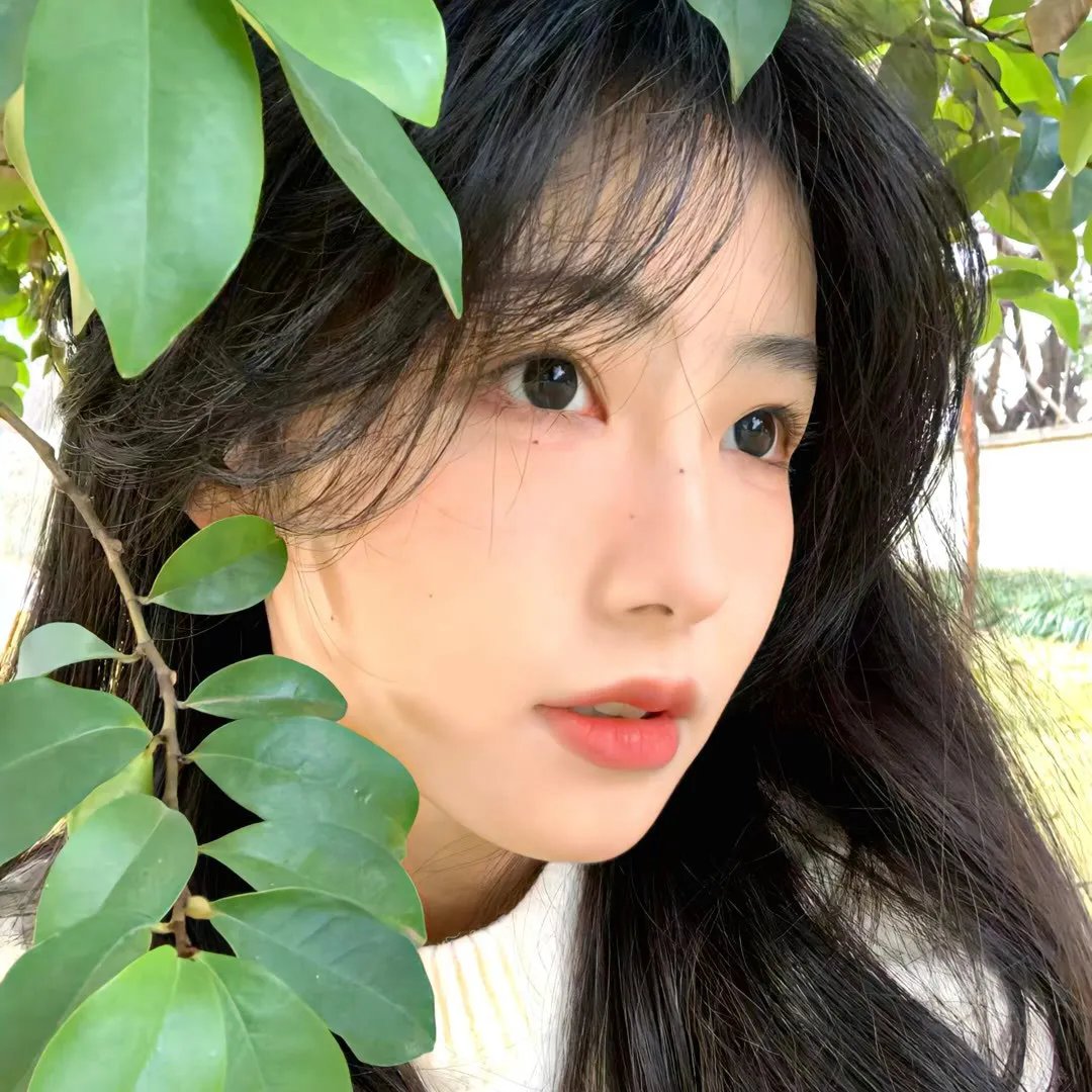 禁忌的游戏